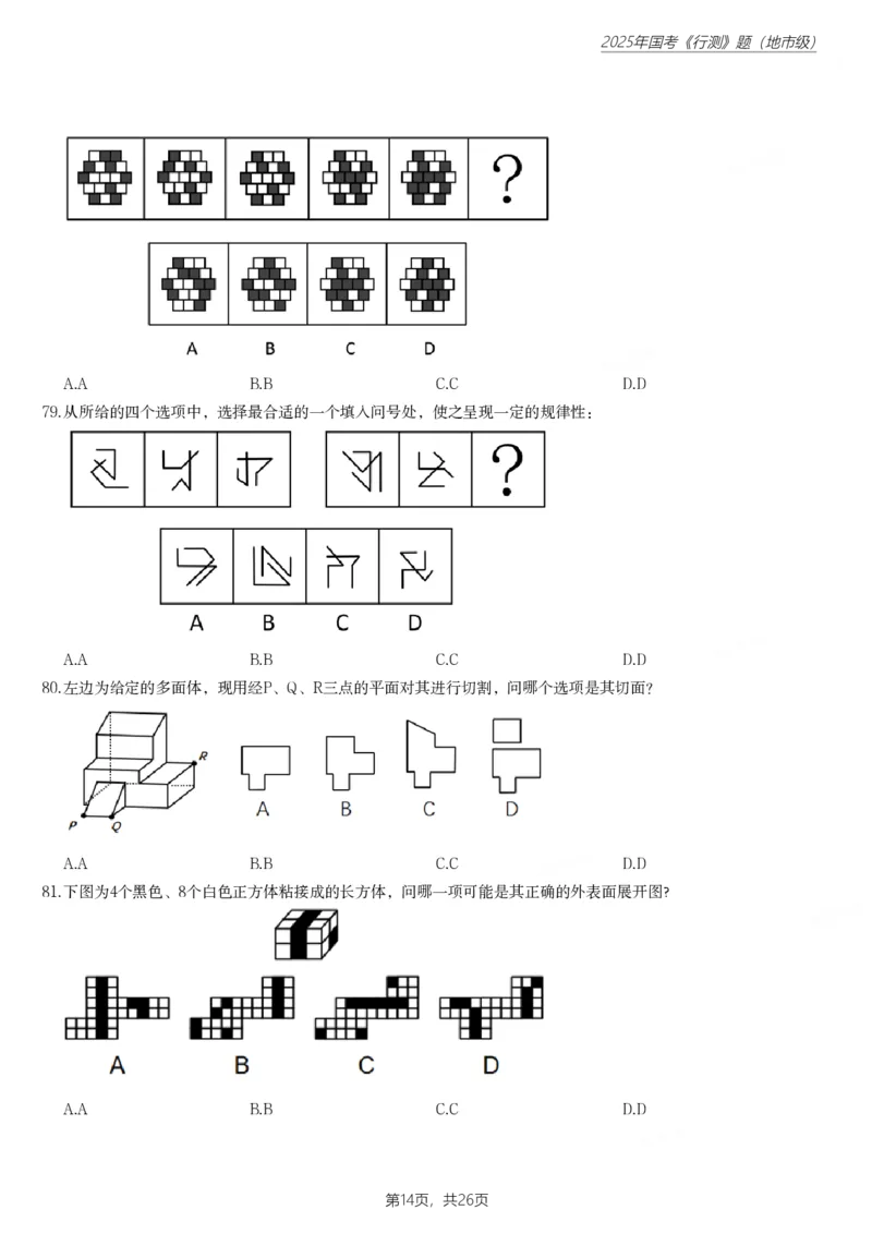 2025年国家公务员录用考试《行测》题（地市级）_国考省考_国考2000-2026真题pdf_2000-2025国考行测PDF_行测-真题