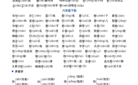 25一本小升初冲刺新卷-语文核心知识梳理手册