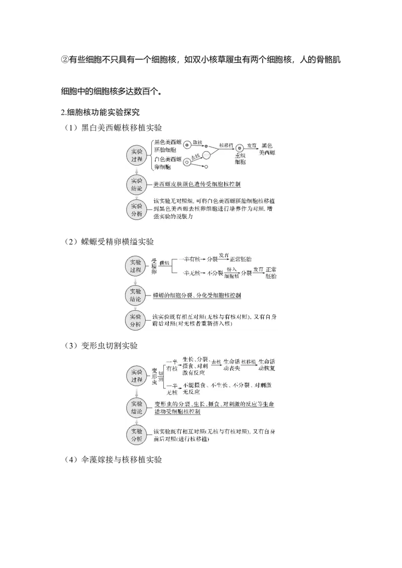 第4讲细胞膜与细胞核_通用版（老高考）复习资料_2023年复习资料_一轮复习_2023年高考生物一轮复习讲义+课件（全国版）_2023年高考生物一轮复习讲义（全国版）_赠补充习题