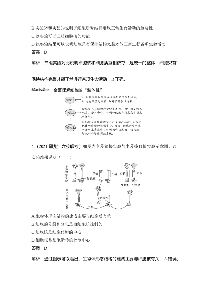 第4讲细胞膜与细胞核_通用版（老高考）复习资料_2023年复习资料_一轮复习_2023年高考生物一轮复习讲义+课件（全国版）_2023年高考生物一轮复习讲义（全国版）_赠补充习题