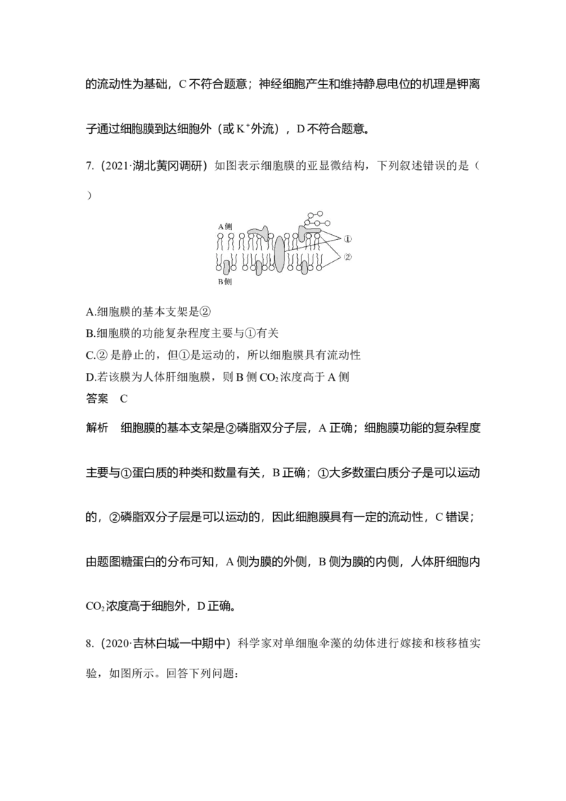 第4讲细胞膜与细胞核_通用版（老高考）复习资料_2023年复习资料_一轮复习_2023年高考生物一轮复习讲义+课件（全国版）_2023年高考生物一轮复习讲义（全国版）_赠补充习题
