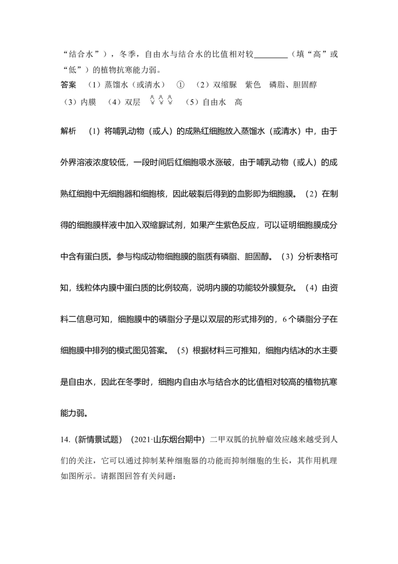 第4讲细胞膜与细胞核_通用版（老高考）复习资料_2023年复习资料_一轮复习_2023年高考生物一轮复习讲义+课件（全国版）_2023年高考生物一轮复习讲义（全国版）_赠补充习题