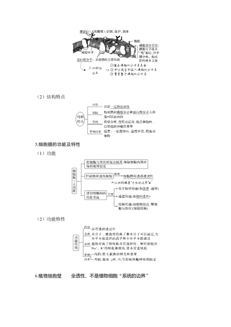 第4讲细胞膜与细胞核_通用版（老高考）复习资料_2023年复习资料_一轮复习_2023年高考生物一轮复习讲义+课件（全国版）_2023年高考生物一轮复习讲义（全国版）_赠补充习题