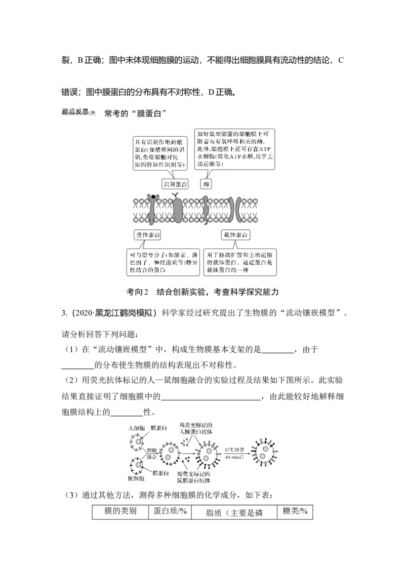 第4讲细胞膜与细胞核_通用版（老高考）复习资料_2023年复习资料_一轮复习_2023年高考生物一轮复习讲义+课件（全国版）_2023年高考生物一轮复习讲义（全国版）_赠补充习题