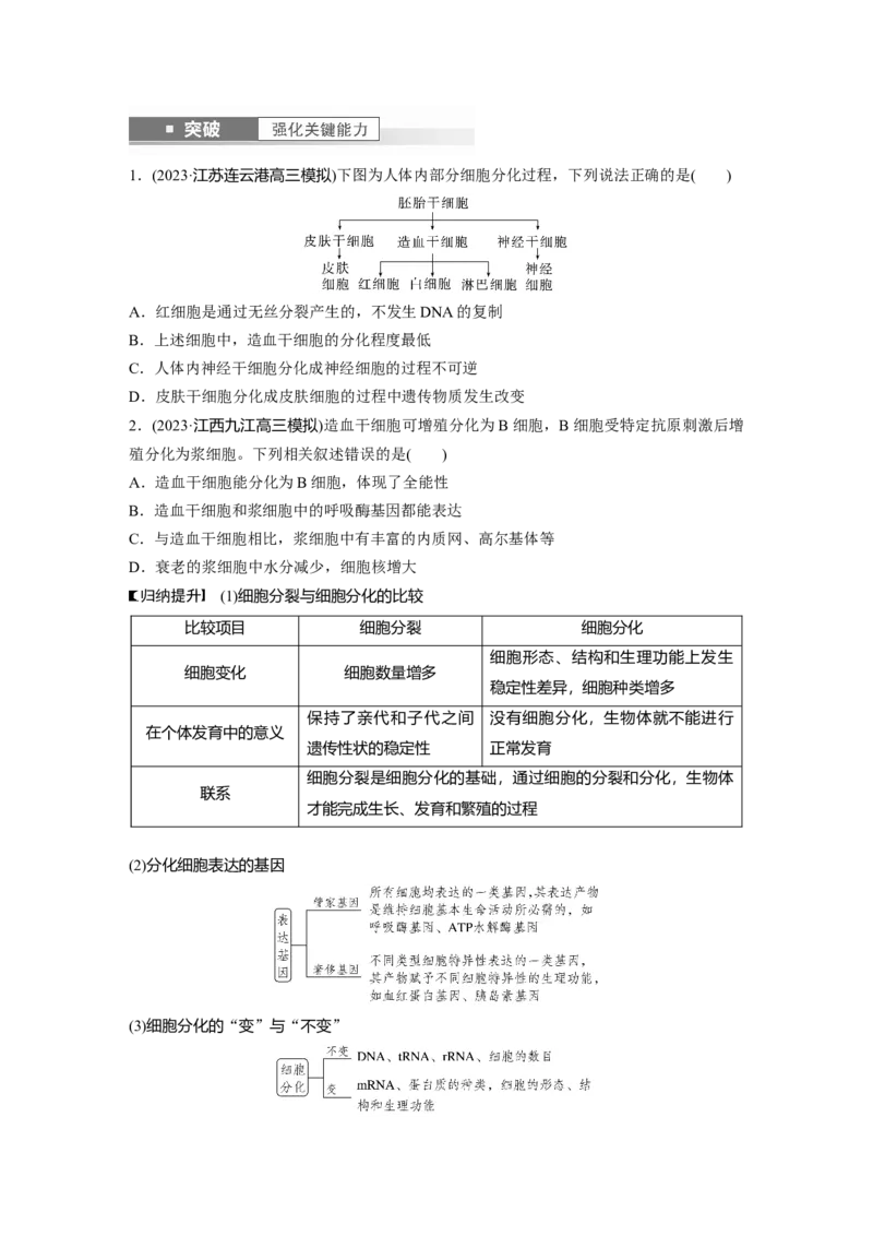 第4单元　第5课时　细胞的分化、衰老和死亡_新高考复习资料_2024年新高考复习资料_一轮复习资料_完2024生物步步高大一轮复习（课件+讲义）_2024年高考生物一轮复习讲义（新人教版）