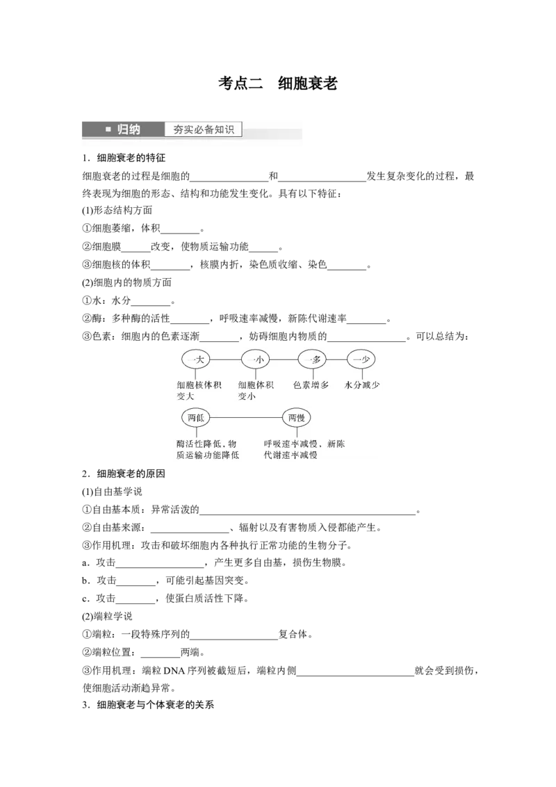 第4单元　第5课时　细胞的分化、衰老和死亡_新高考复习资料_2024年新高考复习资料_一轮复习资料_完2024生物步步高大一轮复习（课件+讲义）_2024年高考生物一轮复习讲义（新人教版）