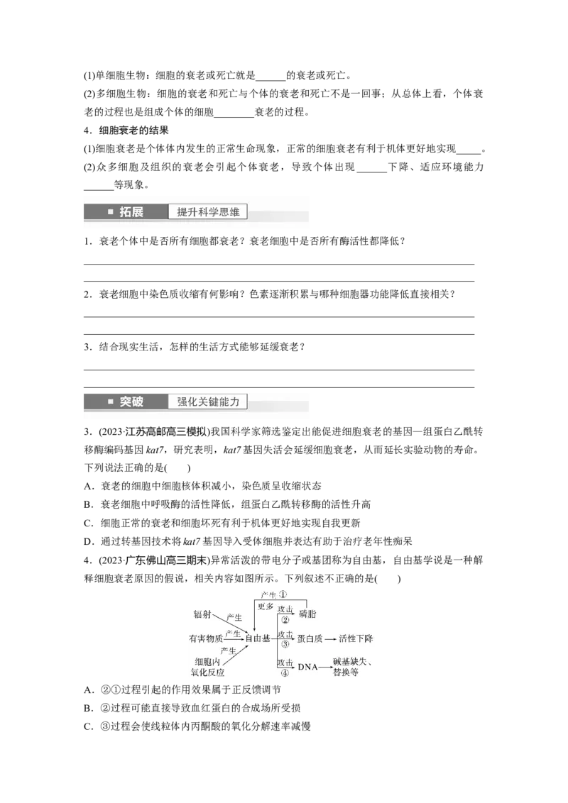 第4单元　第5课时　细胞的分化、衰老和死亡_新高考复习资料_2024年新高考复习资料_一轮复习资料_完2024生物步步高大一轮复习（课件+讲义）_2024年高考生物一轮复习讲义（新人教版）