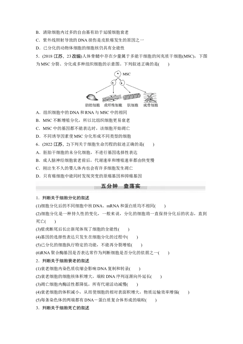 第4单元　第5课时　细胞的分化、衰老和死亡_新高考复习资料_2024年新高考复习资料_一轮复习资料_完2024生物步步高大一轮复习（课件+讲义）_2024年高考生物一轮复习讲义（新人教版）