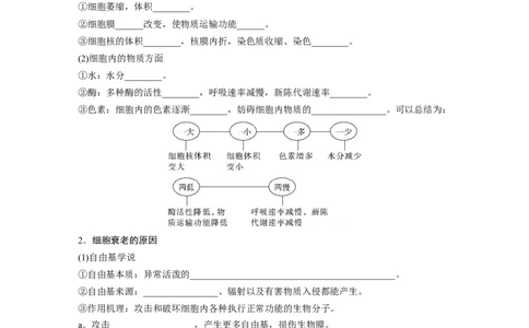 第4单元　第5课时　细胞的分化、衰老和死亡_新高考复习资料_2024年新高考复习资料_一轮复习资料_完2024生物步步高大一轮复习（课件+讲义）_2024年高考生物一轮复习讲义（新人教版）