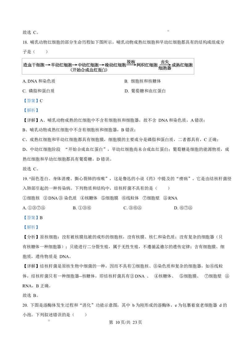 四川省成都外国语学校2025-2026学年高一上学期12月月考生物试题Word版含解析_2026年01月高一试卷_260112四川省成都外国语学校2025-2026学年高一上学期12月月考（全）