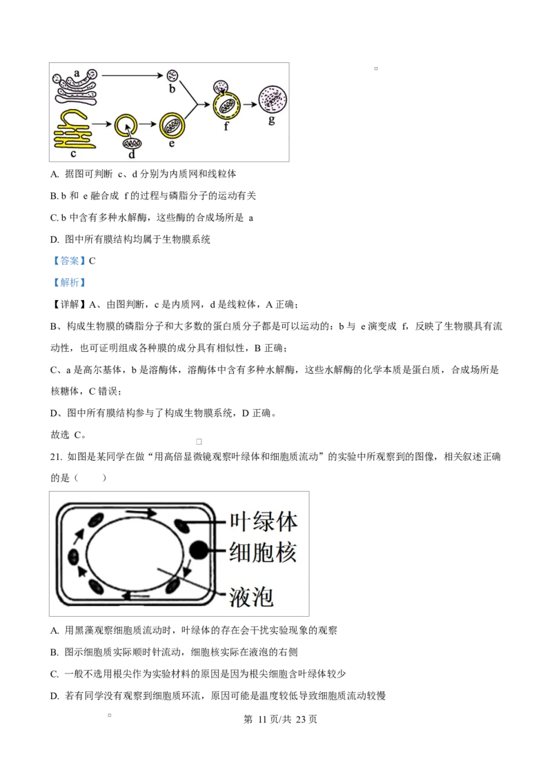四川省成都外国语学校2025-2026学年高一上学期12月月考生物试题Word版含解析_2026年01月高一试卷_260112四川省成都外国语学校2025-2026学年高一上学期12月月考（全）
