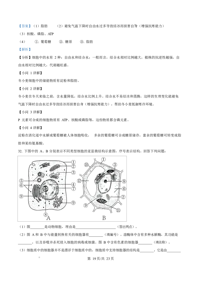 四川省成都外国语学校2025-2026学年高一上学期12月月考生物试题Word版含解析_2026年01月高一试卷_260112四川省成都外国语学校2025-2026学年高一上学期12月月考（全）