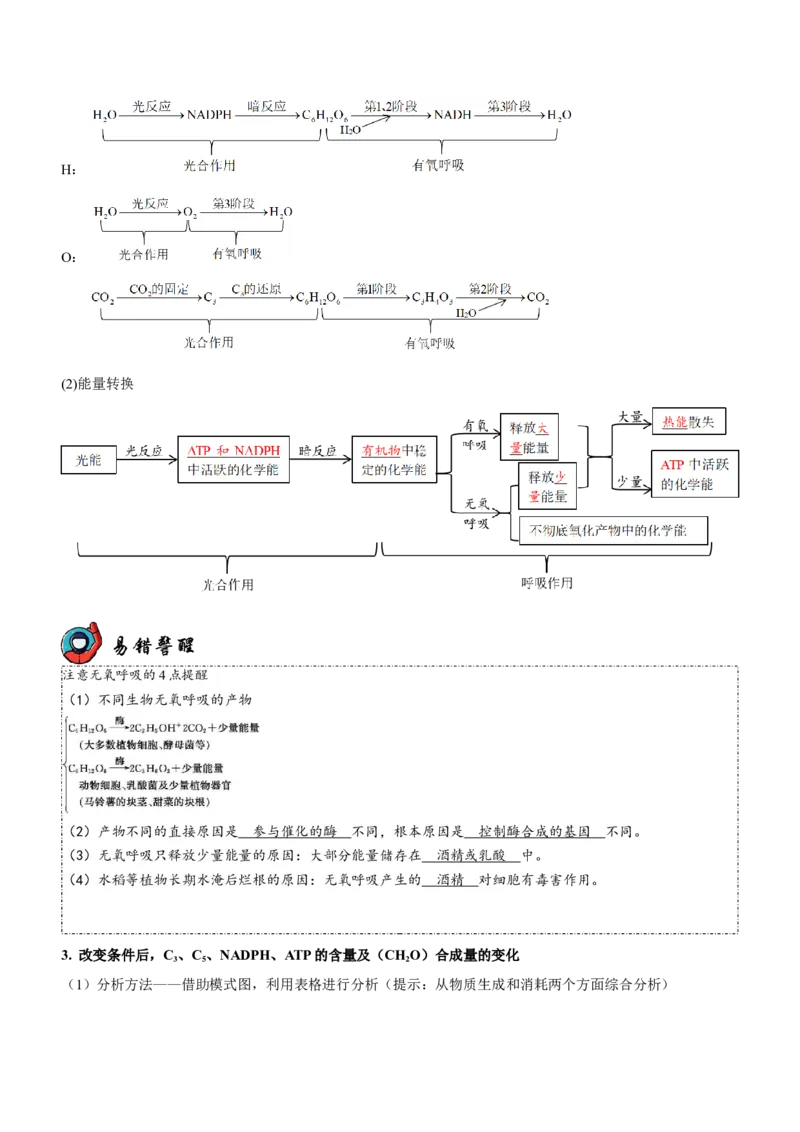 第4讲光合作用和细胞呼吸（讲练）（解析版）_新高考复习资料_2023年新高考复习资料_二轮复习_2023年高考生物二轮复习讲练测（新教材专用）