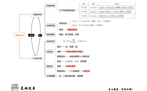第4讲光合作用和细胞呼吸（讲练）（解析版）_新高考复习资料_2023年新高考复习资料_二轮复习_2023年高考生物二轮复习讲练测（新教材专用）