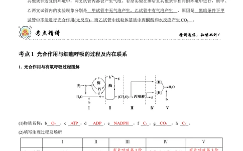 第4讲光合作用和细胞呼吸（讲练）（解析版）_新高考复习资料_2023年新高考复习资料_二轮复习_2023年高考生物二轮复习讲练测（新教材专用）
