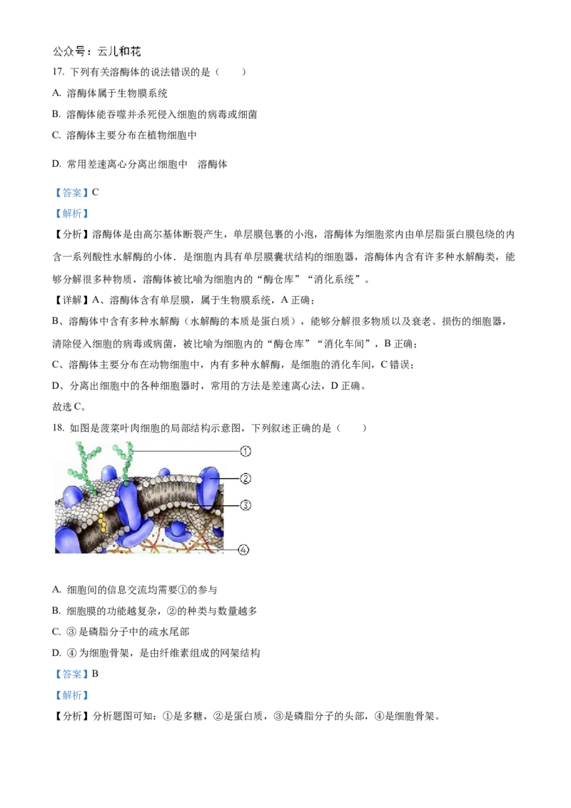 天津市红桥区2024-2025学年高一上学期期中考试生物试卷Word版含解析_2024年11月试卷_1127天津市红桥区2024-2025学年高一上学期期中考试