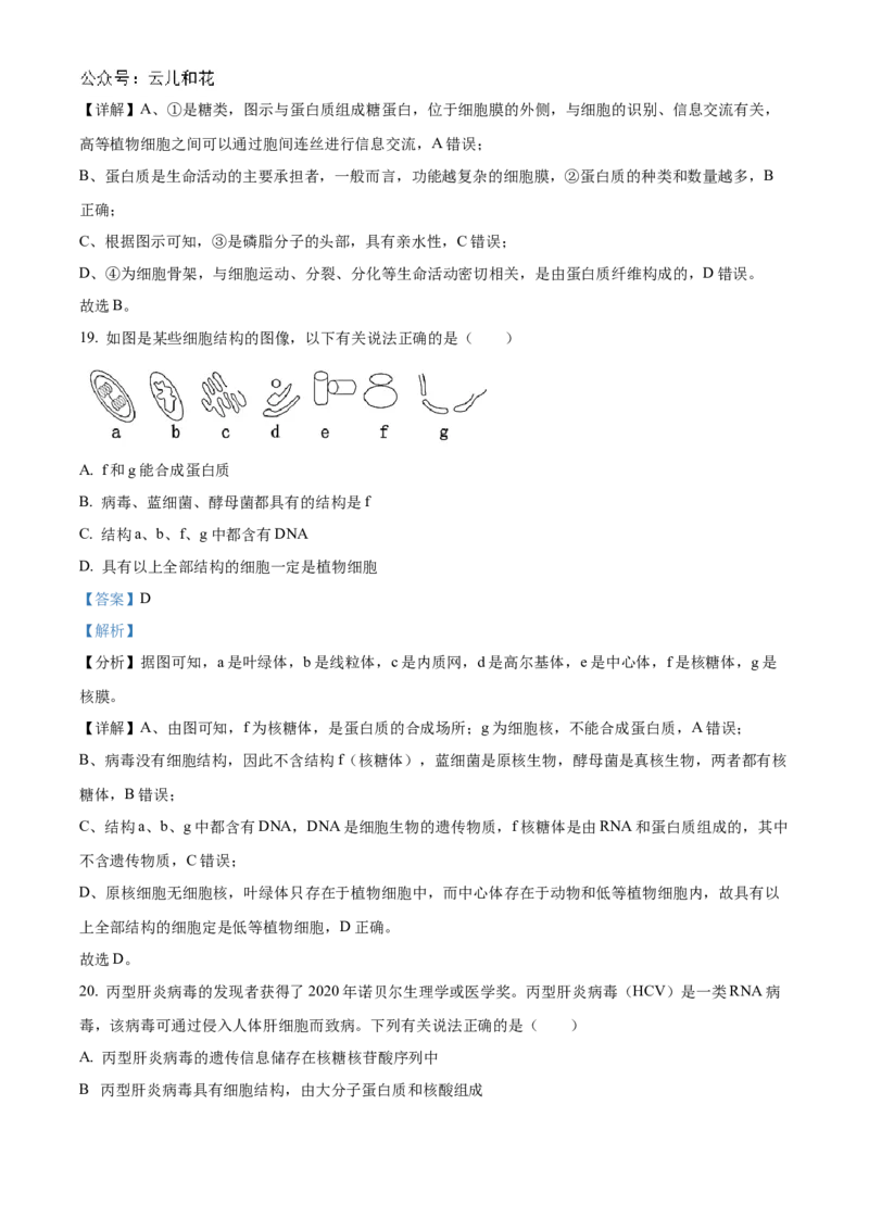 天津市红桥区2024-2025学年高一上学期期中考试生物试卷Word版含解析_2024年11月试卷_1127天津市红桥区2024-2025学年高一上学期期中考试