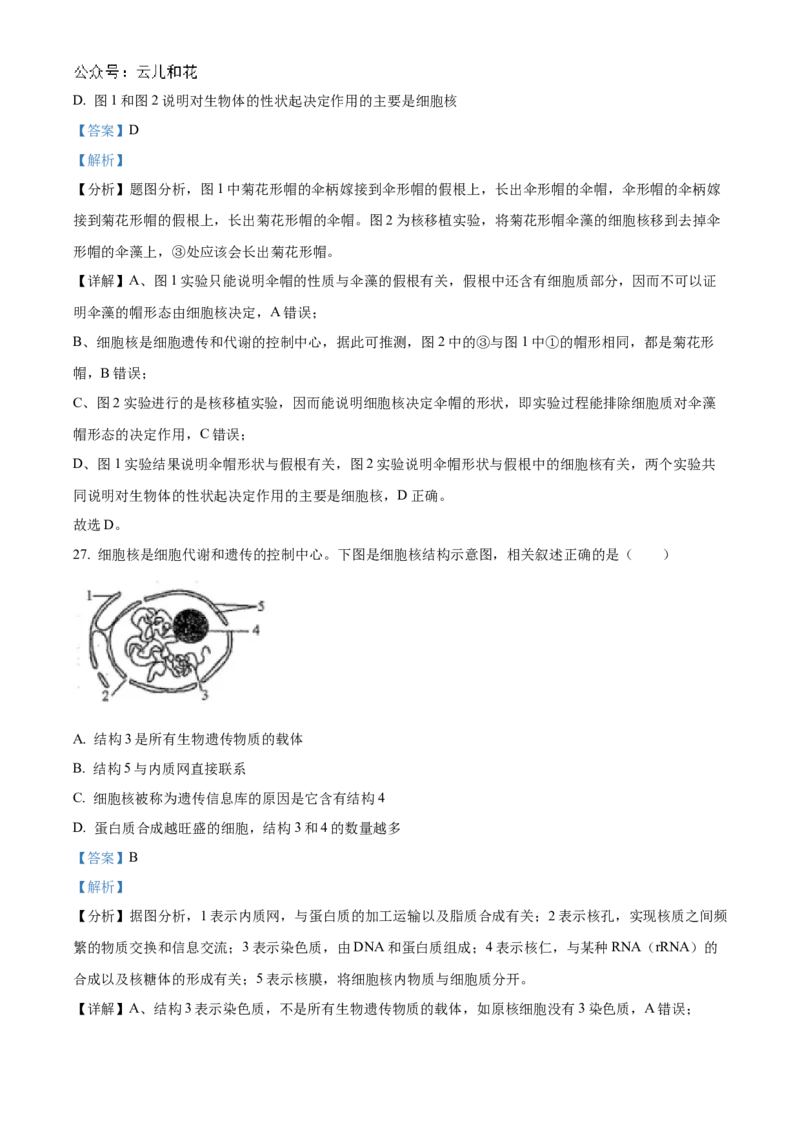 天津市红桥区2024-2025学年高一上学期期中考试生物试卷Word版含解析_2024年11月试卷_1127天津市红桥区2024-2025学年高一上学期期中考试