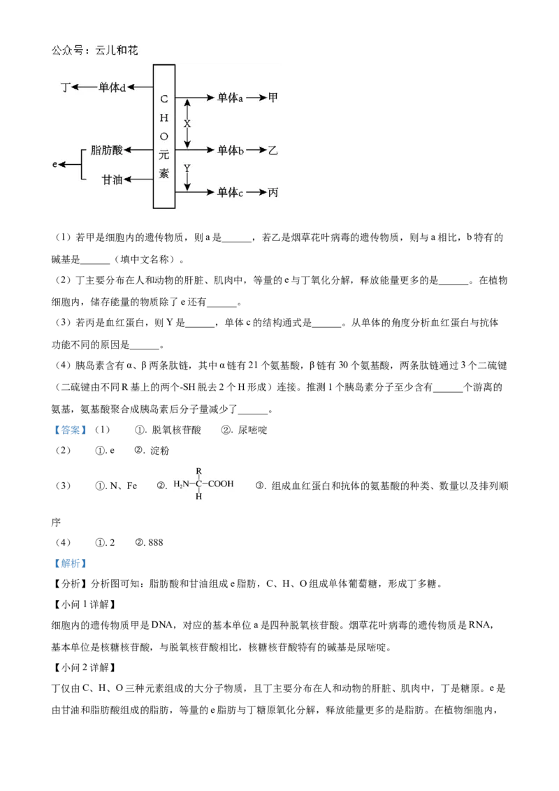 天津市红桥区2024-2025学年高一上学期期中考试生物试卷Word版含解析_2024年11月试卷_1127天津市红桥区2024-2025学年高一上学期期中考试
