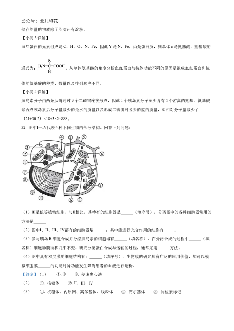 天津市红桥区2024-2025学年高一上学期期中考试生物试卷Word版含解析_2024年11月试卷_1127天津市红桥区2024-2025学年高一上学期期中考试