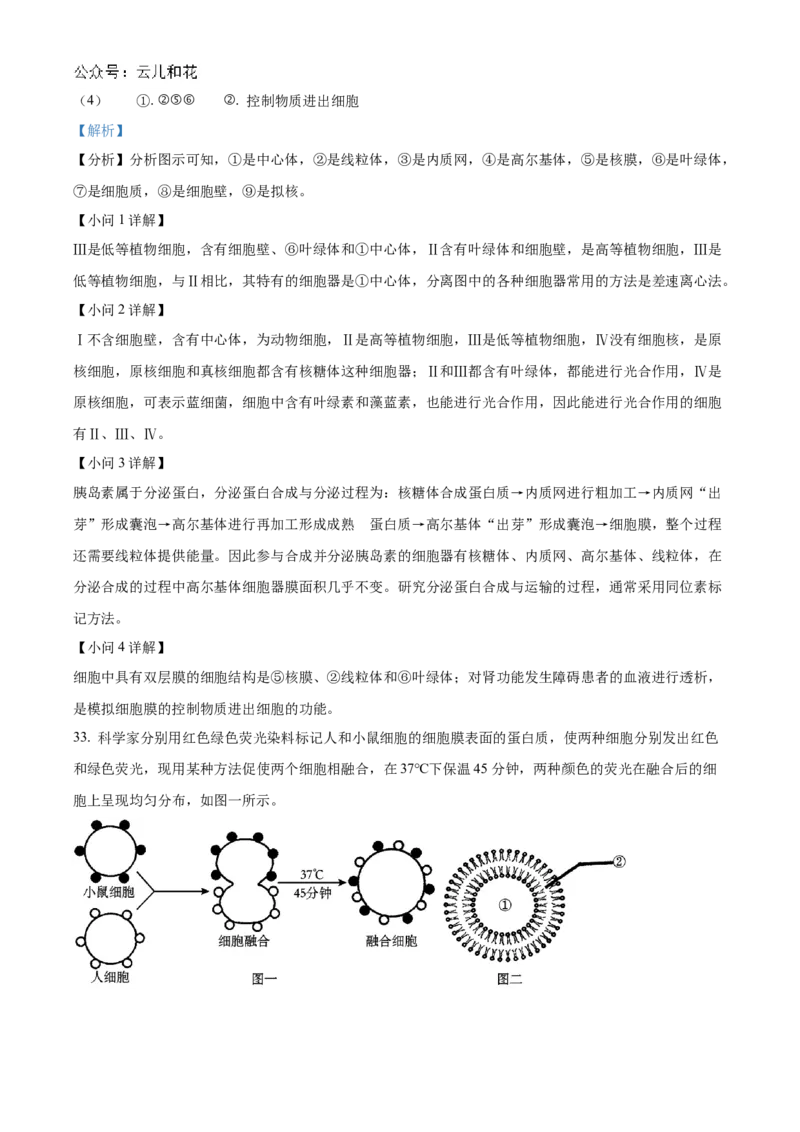 天津市红桥区2024-2025学年高一上学期期中考试生物试卷Word版含解析_2024年11月试卷_1127天津市红桥区2024-2025学年高一上学期期中考试