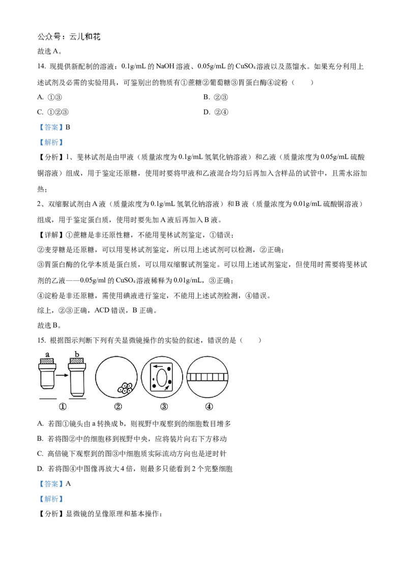 天津市红桥区2024-2025学年高一上学期期中考试生物试卷Word版含解析_2024年11月试卷_1127天津市红桥区2024-2025学年高一上学期期中考试