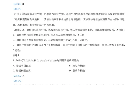 天津市红桥区2024-2025学年高一上学期期中考试生物试卷Word版含解析_2024年11月试卷_1127天津市红桥区2024-2025学年高一上学期期中考试