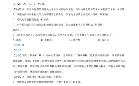 天津市红桥区2024-2025学年高一上学期期中考试生物试卷Word版含解析_2024年11月试卷_1127天津市红桥区2024-2025学年高一上学期期中考试