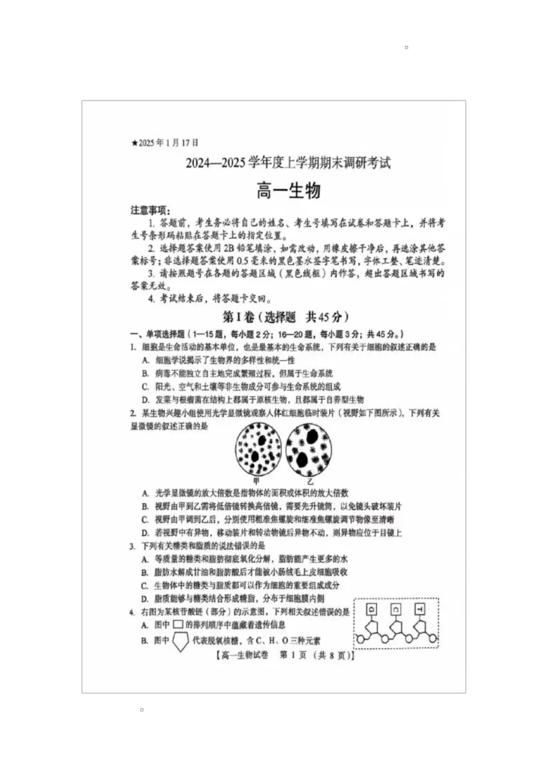 河南省三门峡市2024-2025学年高一上学期1月期末生物试题_2025年02月试卷_0224河南省三门峡市2024-2025学年高一上学期1月期末考试