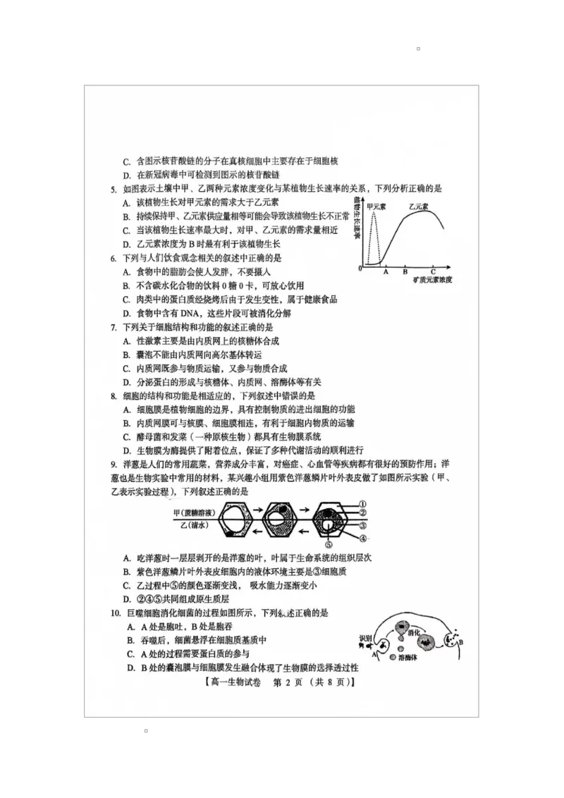 河南省三门峡市2024-2025学年高一上学期1月期末生物试题_2025年02月试卷_0224河南省三门峡市2024-2025学年高一上学期1月期末考试