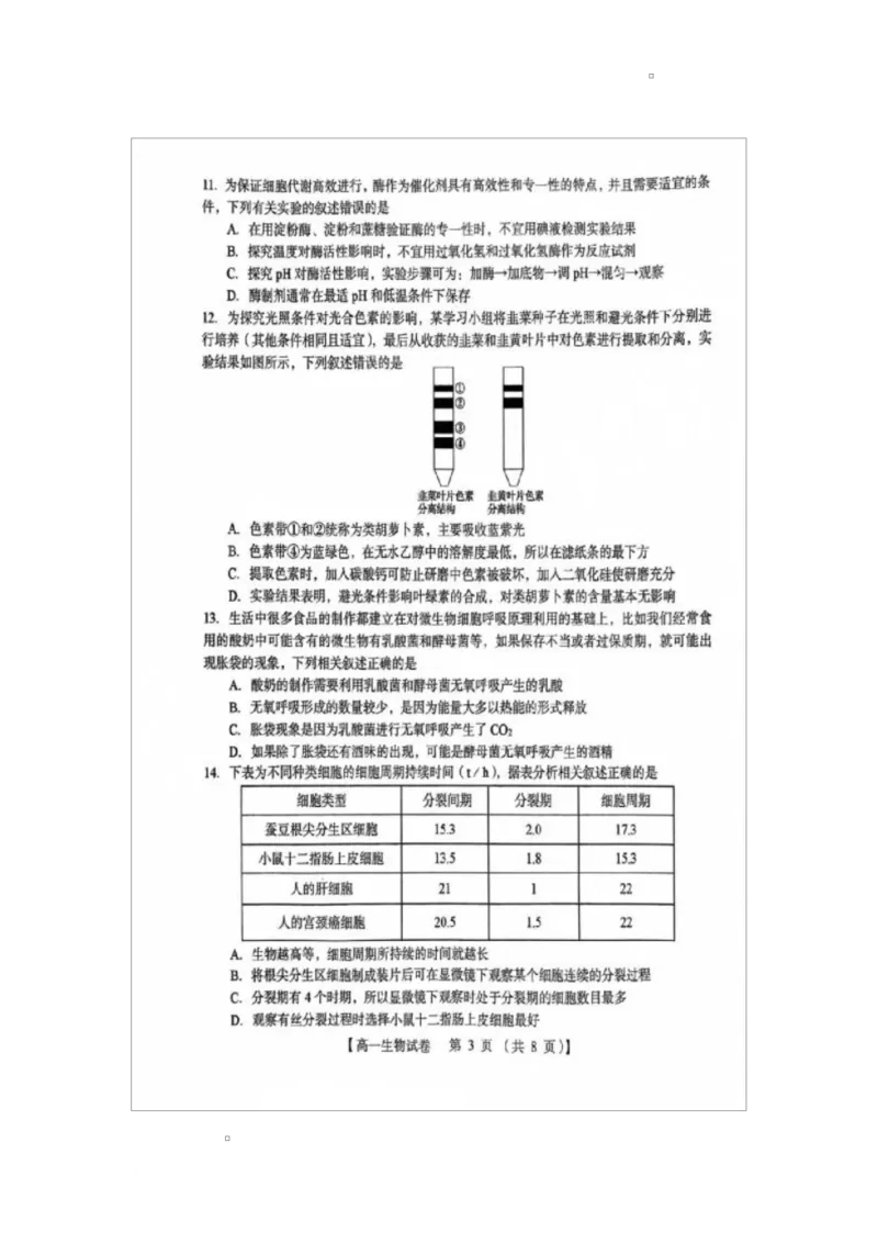 河南省三门峡市2024-2025学年高一上学期1月期末生物试题_2025年02月试卷_0224河南省三门峡市2024-2025学年高一上学期1月期末考试