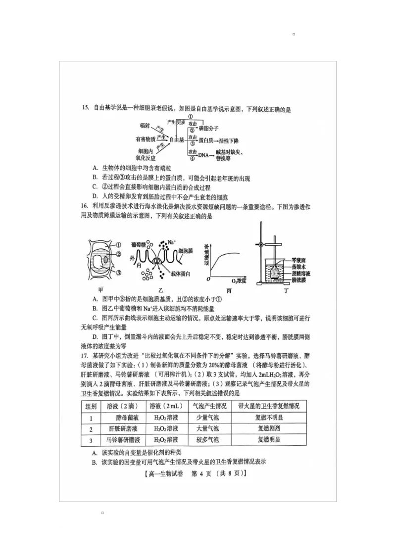 河南省三门峡市2024-2025学年高一上学期1月期末生物试题_2025年02月试卷_0224河南省三门峡市2024-2025学年高一上学期1月期末考试