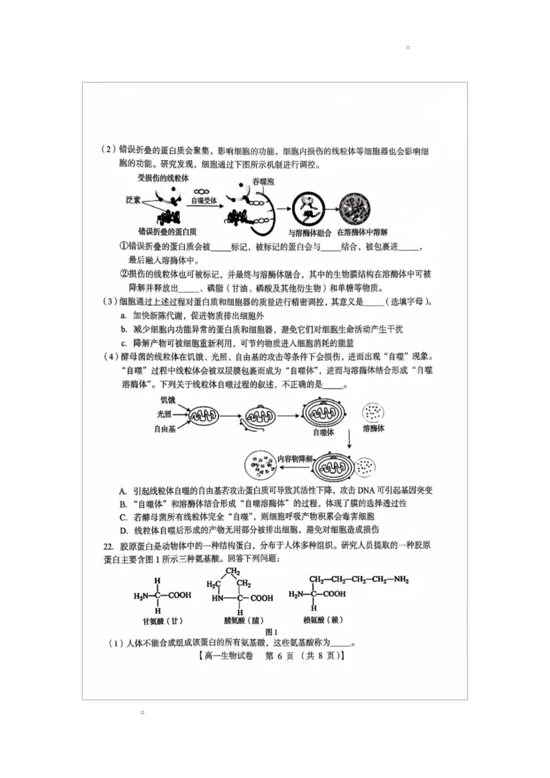 河南省三门峡市2024-2025学年高一上学期1月期末生物试题_2025年02月试卷_0224河南省三门峡市2024-2025学年高一上学期1月期末考试