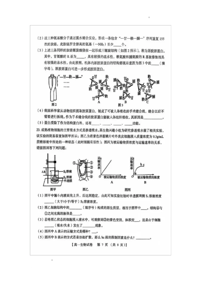 河南省三门峡市2024-2025学年高一上学期1月期末生物试题_2025年02月试卷_0224河南省三门峡市2024-2025学年高一上学期1月期末考试