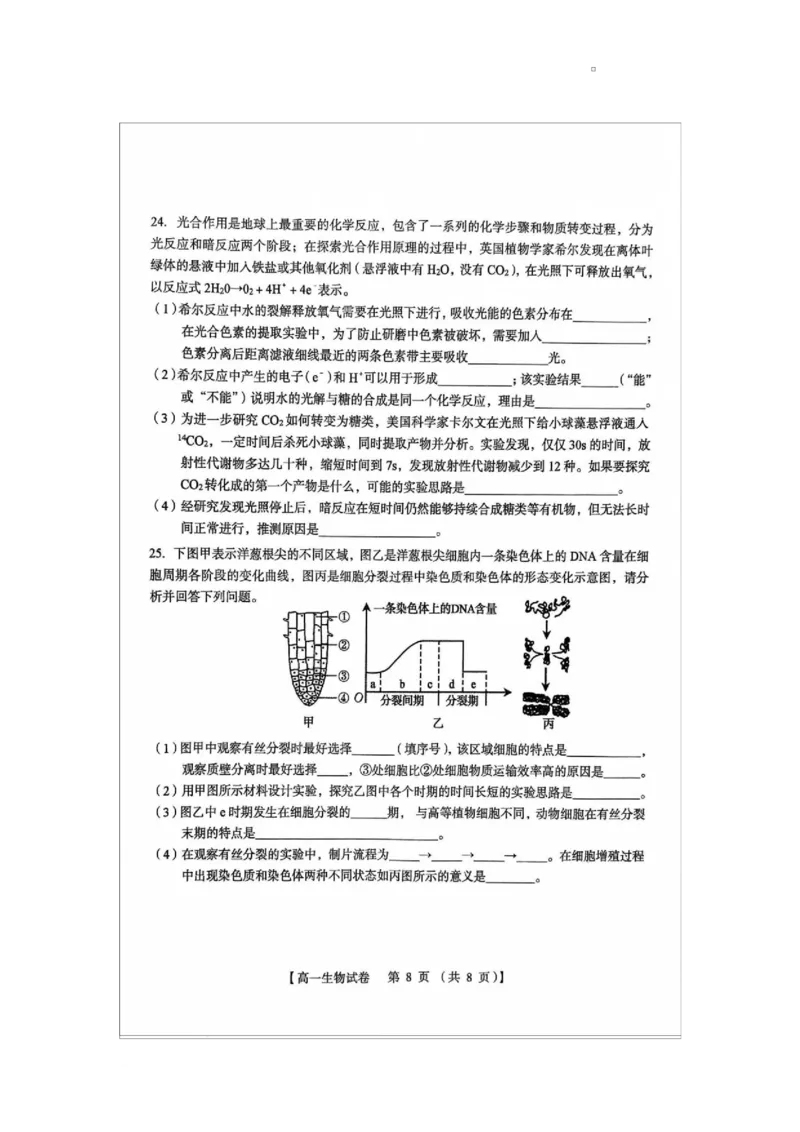 河南省三门峡市2024-2025学年高一上学期1月期末生物试题_2025年02月试卷_0224河南省三门峡市2024-2025学年高一上学期1月期末考试