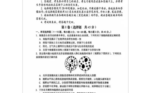 河南省三门峡市2024-2025学年高一上学期1月期末生物试题_2025年02月试卷_0224河南省三门峡市2024-2025学年高一上学期1月期末考试