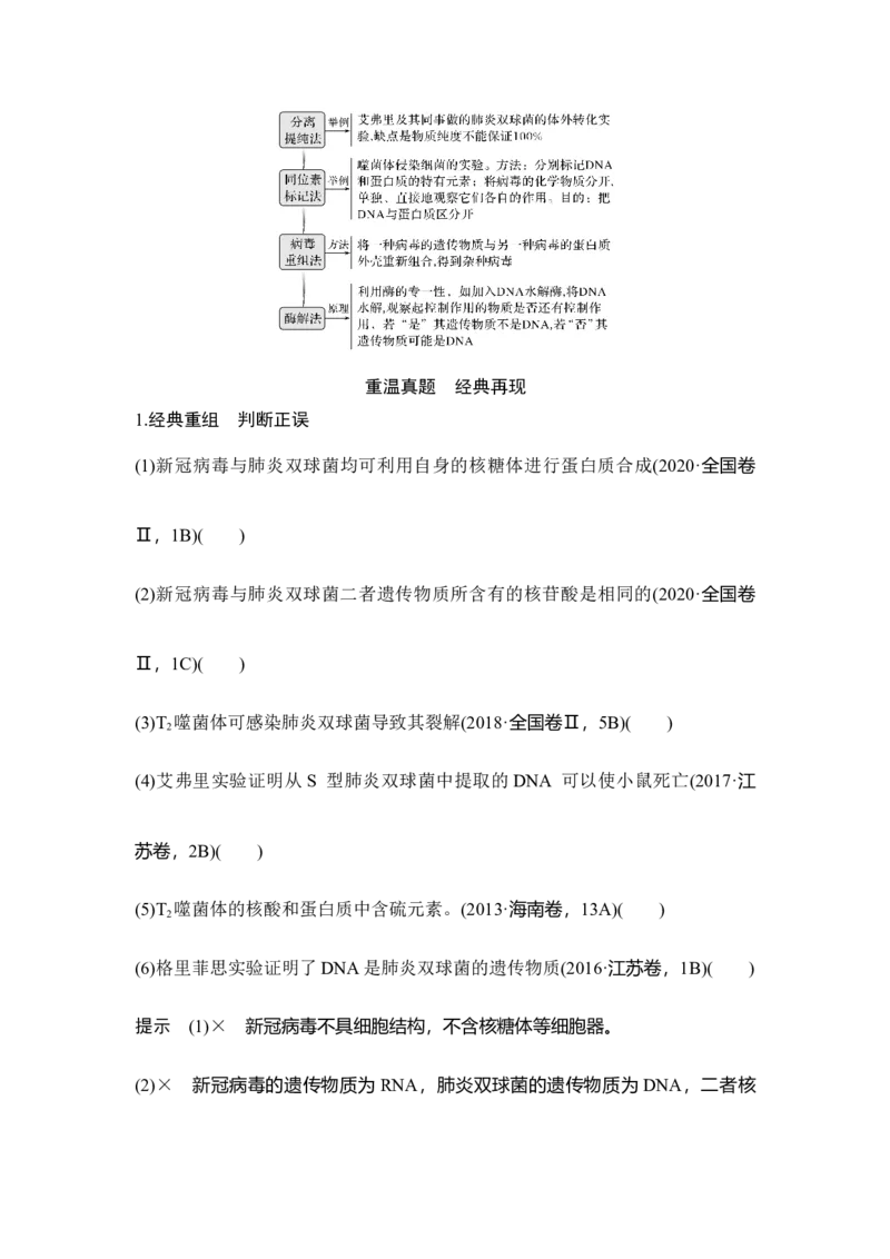 第16讲人类对遗传物质的探索过程_通用版（老高考）复习资料_2023年复习资料_一轮复习_2023年高考生物一轮复习讲义+课件（全国版）_2023年高考生物一轮复习讲义（全国版）