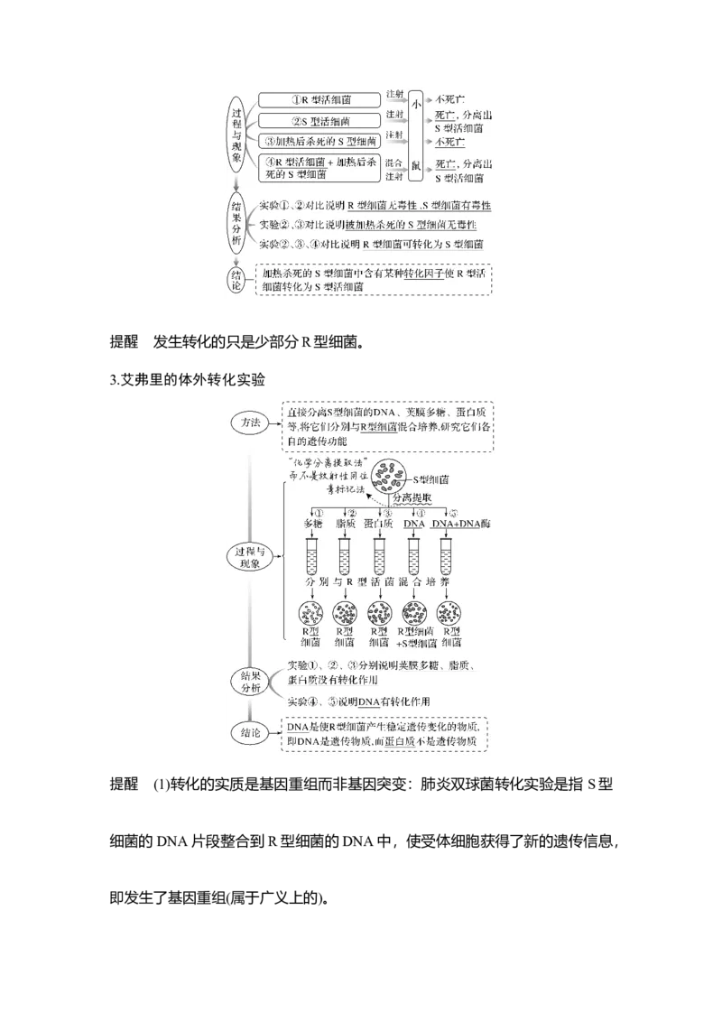 第16讲人类对遗传物质的探索过程_通用版（老高考）复习资料_2023年复习资料_一轮复习_2023年高考生物一轮复习讲义+课件（全国版）_2023年高考生物一轮复习讲义（全国版）