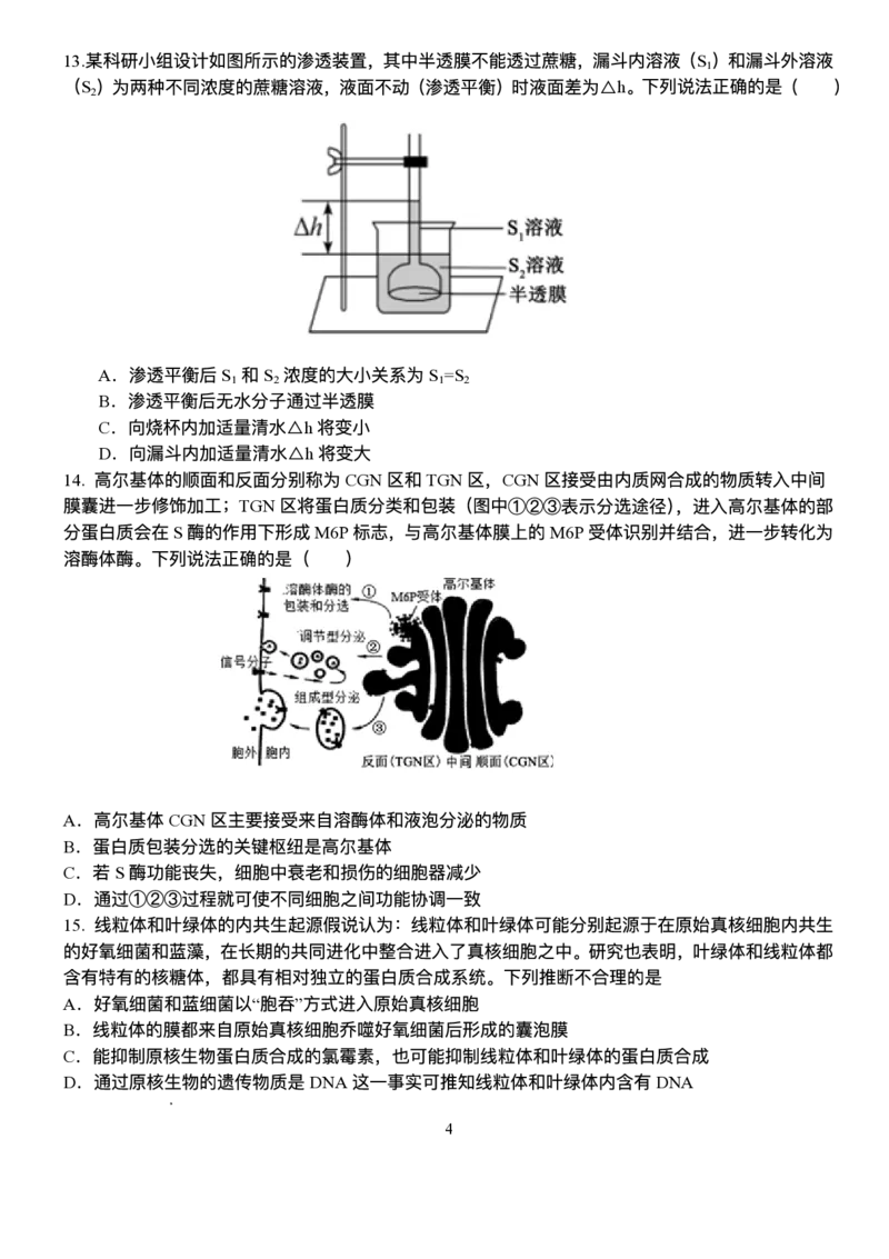 山东省泰安一中青年路校区2025-2026学年高一1月诊断性测试生物试题_2026年01月高一试卷_260118山东省泰安市第一中学（青年路校区）2025-2026学年高一上学期1月诊断性测试