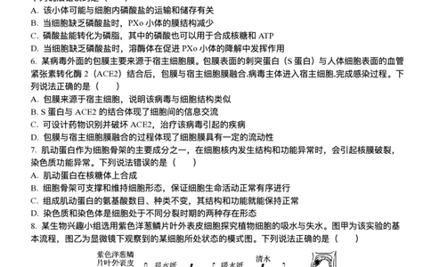 山东省泰安一中青年路校区2025-2026学年高一1月诊断性测试生物试题_2026年01月高一试卷_260118山东省泰安市第一中学（青年路校区）2025-2026学年高一上学期1月诊断性测试
