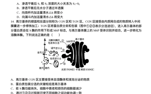 山东省泰安一中青年路校区2025-2026学年高一1月诊断性测试生物试题_2026年01月高一试卷_260118山东省泰安市第一中学（青年路校区）2025-2026学年高一上学期1月诊断性测试