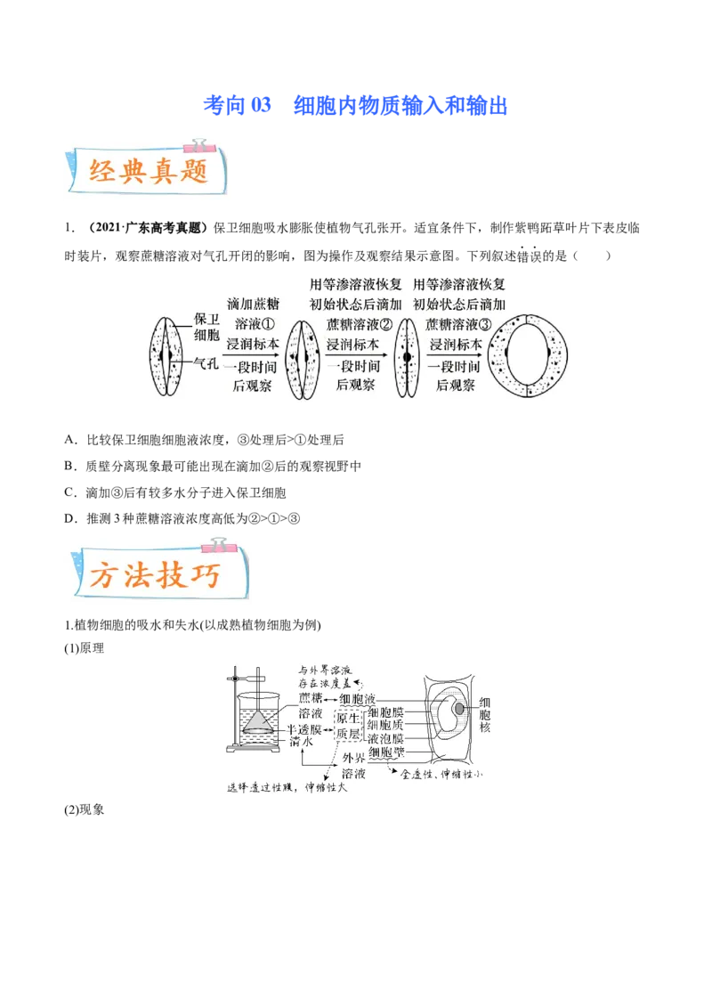 考向03细胞内物质输入和输出-备战2023年高考生物一轮复习考点微专题（全国通用）（原卷版）(1)_通用版（老高考）复习资料_2023年复习资料_一轮复习
