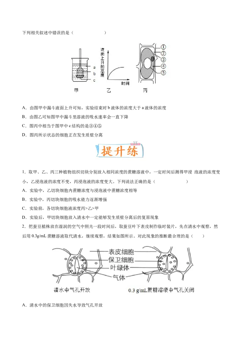 考向03细胞内物质输入和输出-备战2023年高考生物一轮复习考点微专题（全国通用）（原卷版）(1)_通用版（老高考）复习资料_2023年复习资料_一轮复习