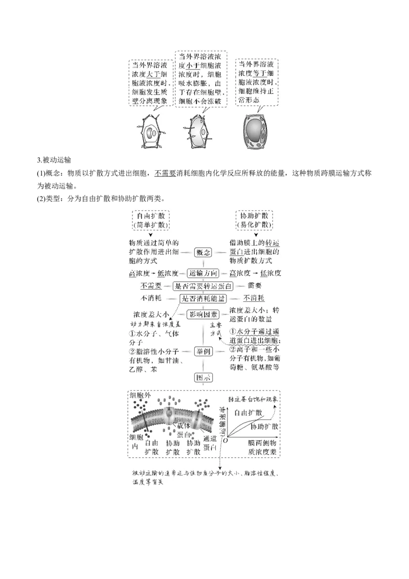 考向03细胞内物质输入和输出-备战2023年高考生物一轮复习考点微专题（全国通用）（原卷版）(1)_通用版（老高考）复习资料_2023年复习资料_一轮复习