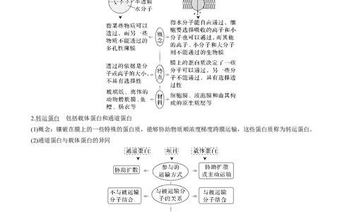考向03细胞内物质输入和输出-备战2023年高考生物一轮复习考点微专题（全国通用）（原卷版）(1)_通用版（老高考）复习资料_2023年复习资料_一轮复习