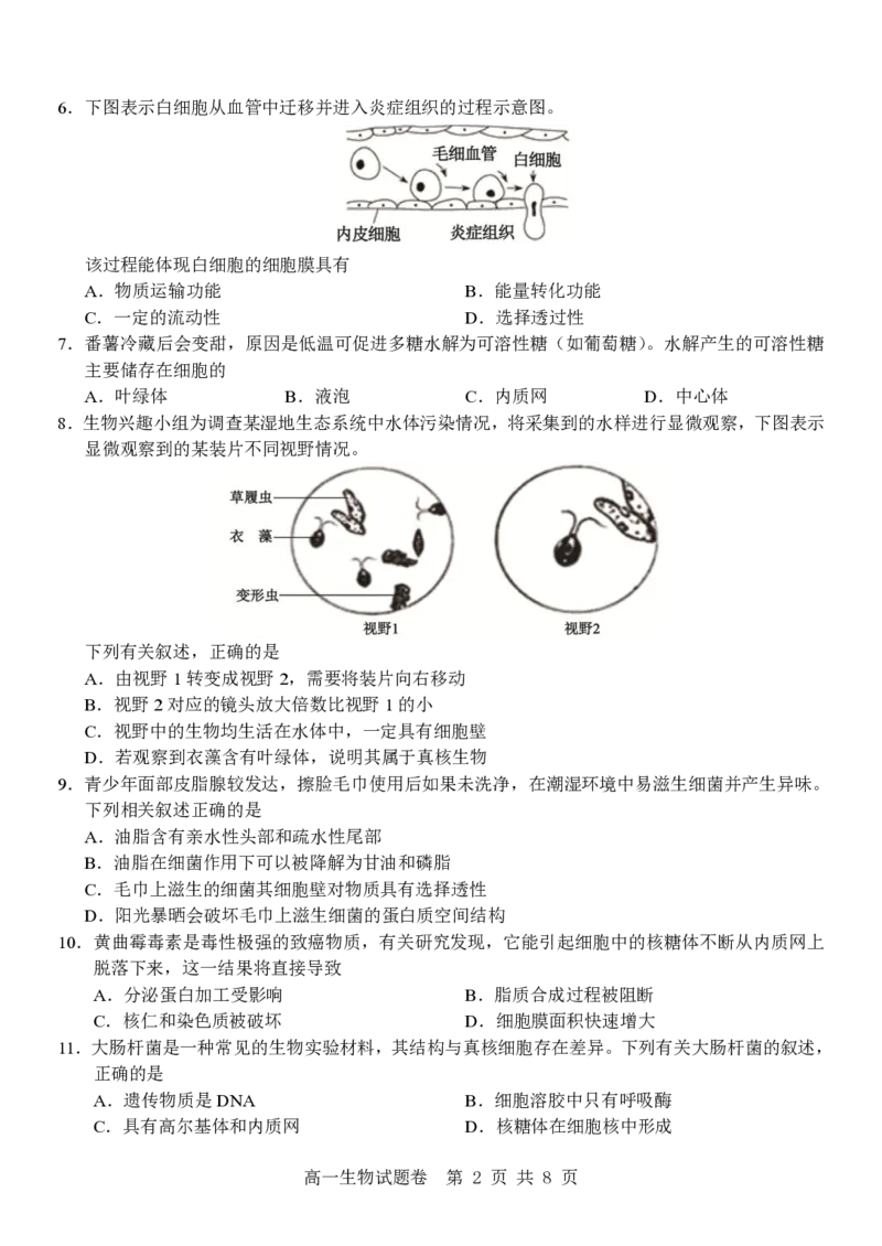 生物试卷_2025年12月高一试卷_251206浙江省杭州市地区(含周边)重点中学2025学年第一学期高一年级期中考试（全）