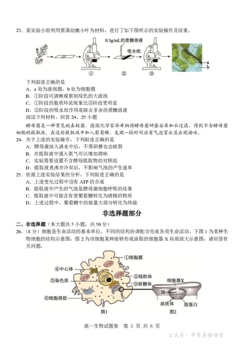 生物试卷_2025年12月高一试卷_251206浙江省杭州市地区(含周边)重点中学2025学年第一学期高一年级期中考试（全）