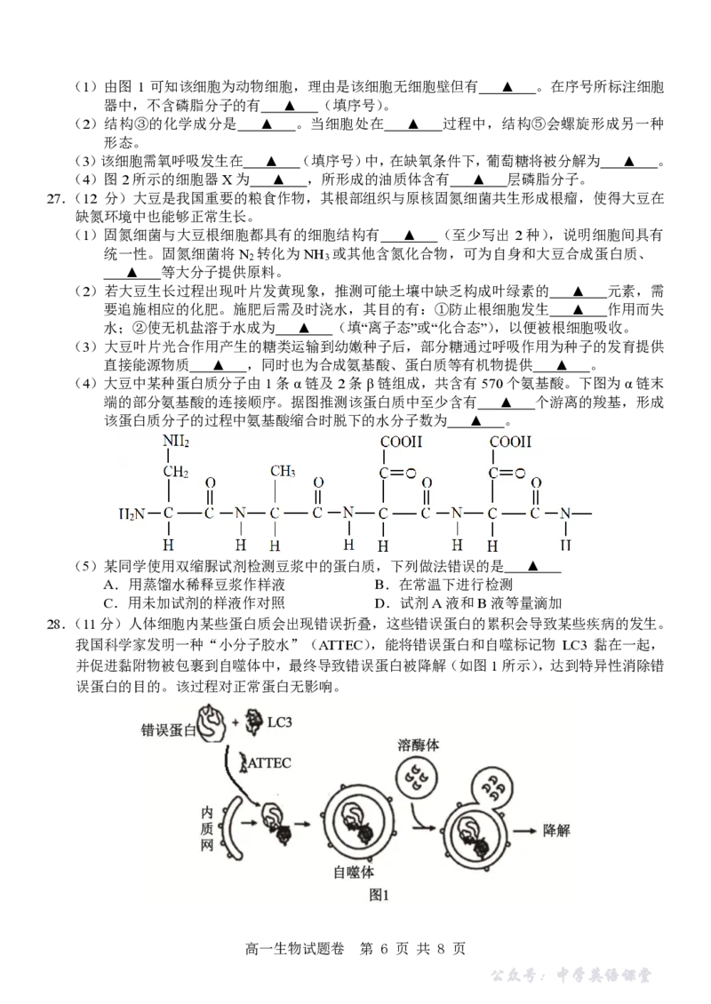 生物试卷_2025年12月高一试卷_251206浙江省杭州市地区(含周边)重点中学2025学年第一学期高一年级期中考试（全）