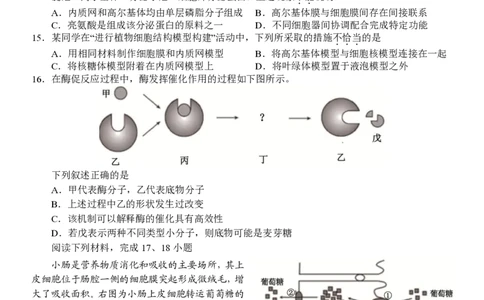 生物试卷_2025年12月高一试卷_251206浙江省杭州市地区(含周边)重点中学2025学年第一学期高一年级期中考试（全）
