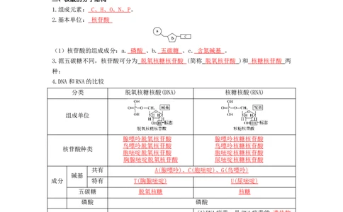 第7讲核酸是遗传信息的携带者-精准备考备战2023年高考生物一轮复习精品讲义（生物学必修1）（解析版）_通用版（老高考）复习资料_2023年复习资料_一轮复习